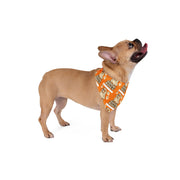 Halloween Pet Bandana: Good Boo-y - Cozy Dog Accessory
